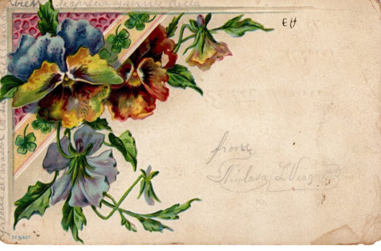 036 1901 Post Card  Gallinas Texas Postmark